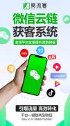 引领全球引流潮流：数字化时代的获客新纪元